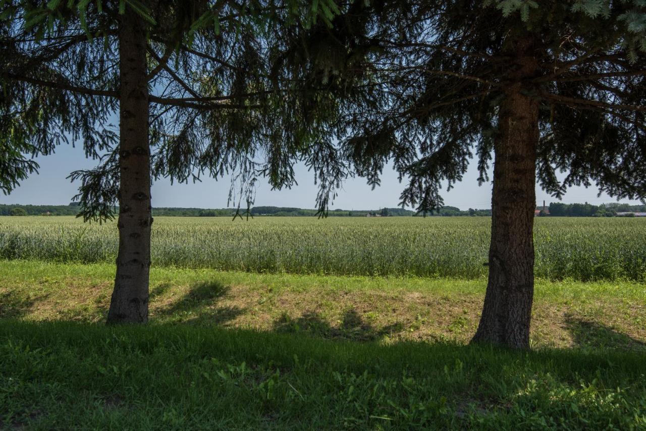Villa Posteleki Vendeghaz-Nyugalom Szigetei Gyula Exterior foto